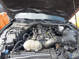 2021 Ford Mustang EcoBoost with VIN 1FA6P8TH9M5133781, listed as a IAAI auction lot 42158034 with 31,648 mi miles and . Bid and sale history available at DreamBid. Image 10.