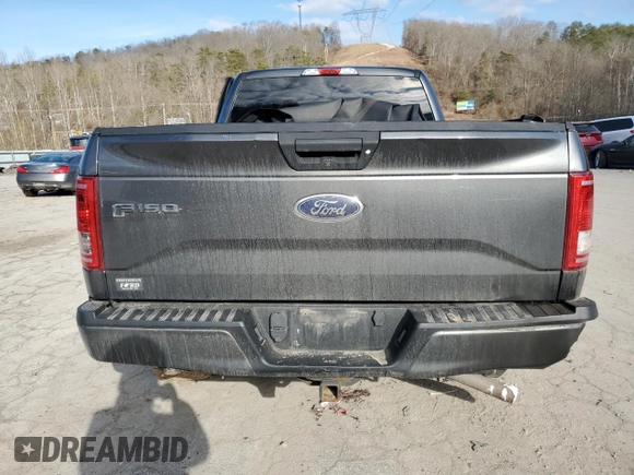 2017 Ford F-150 XL with VIN 1FTEX1EP4HFA17888, listed as a Copart auction lot 44005895 with 146,559 mi miles and Salvage Title. Bid and sale history available at carsss.com. Image 6.