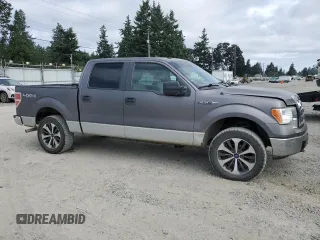 2009 Ford F-150 XL с VIN 1FTPW14V69FA77815, выставлен на аукционе Copart как лот 65020375 с пробегом 273 313 миль миль и Чистый • Clean title. История ставок и продаж доступна на DreamBid. Изображение 4.