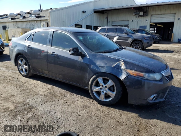 2013 Acura TSX with VIN JH4CU2F4XDC008701, listed as a Copart auction lot 46972355 with 0 mi miles and Clean Title. Bid and sale history available at carsss.com. Image 4.