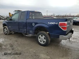 2011 Ford F-150 XL with VIN 1FTFX1ET8BFC87344, listed as a Copart auction lot 46576495 with 126,027 mi miles and Salvage Title. Bid and sale history available at carsss.com. Image 2.