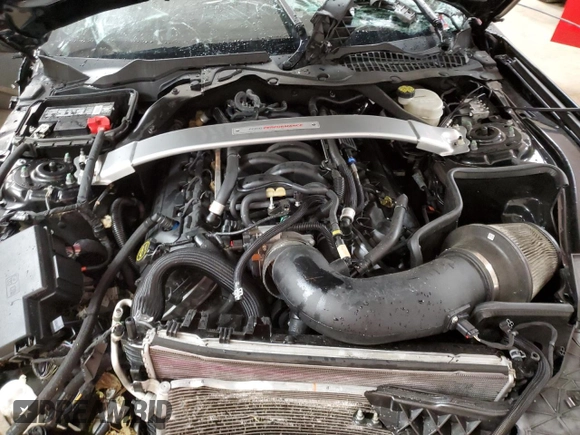 2017 Ford Mustang Shelby GT350 z VIN 1FA6P8JZ4H5526086, wystawiony jako Copart lot #75331364 z przebiegiem Nie podano mil oraz Nie do naprawy • Non repairable. Historia ofert i sprzedaży dostępna na DreamBid. Obrazek 11.