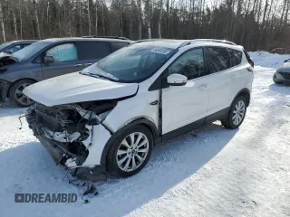 2017 Ford Escape Titanium with VIN 1FMCU9J9XHUA01661, listed as a Copart auction lot 88345395 with 79,865 mi miles and Salvage Title. Bid and sale history available at carsss.com. Image 1.