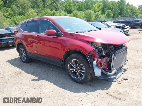2022 Honda CR-V EX-L with VIN 2HKRW2H87NH656833, listed as a IAAI auction lot 42482299 with 49,345 mi miles and . Bid and sale history available at DreamBid. Image 1.