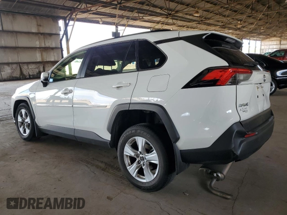 2019 Toyota RAV4 XLE with VIN JTMP1RFV7KJ007608, listed as a Copart auction lot 53856125 with 37,868 mi miles and Salvage Title. Bid and sale history available at DreamBid. Image 2.