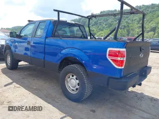 2010 Ford F-150 XL with VIN 1FTEX1E81AFC69211, listed as a IAAI auction lot 42678267 with 174,127 mi miles and . Bid and sale history available at DreamBid. Image 3.