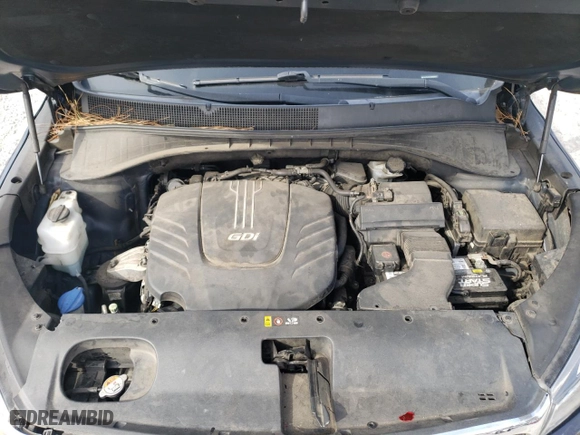2016 Kia Sorento LX with VIN 5XYPG4A51GG094437, listed as a Copart auction lot 47689655 with 200,291 mi miles and Salvage Title. Bid and sale history available at carsss.com. Image 13.