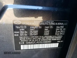 2020 Hyundai Santa Fe SE with VIN 5NMS2CAD3LH300481, listed as a Copart auction lot 66738032 with 18,956 mi miles. Bid and sale history available at carsss.com. Image 10.