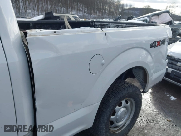 2017 Ford F-150 XL with VIN 1FTFX1EF9HFC85427, listed as a IAAI auction lot 41595903 with 176,235 mi miles. Bid and sale history available at carsss.com. Image 6.