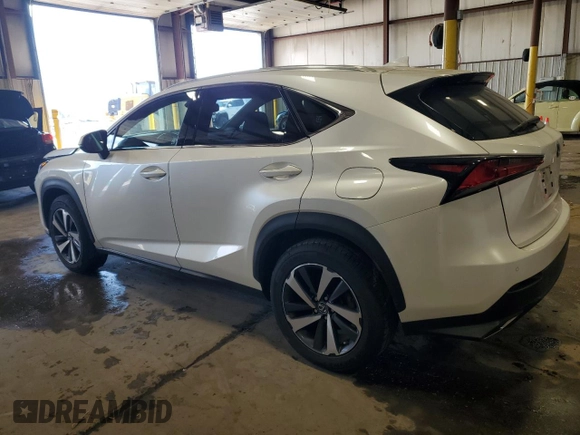 2019 Lexus NX 300 with VIN JTJBARBZ6K2199341, listed as a Copart auction lot 53050495 with 59,786 mi miles and Salvage title. Bid and sale history available at DreamBid. Image 2.