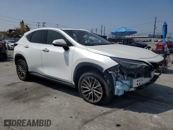 2024 Lexus NX 250 Premium with VIN JTJGDCAZ2R5015128, listed as a Copart auction lot 58384805 with 23,453 mi miles and Salvage title. Bid and sale history available at DreamBid. Image 4.