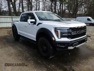 2024 Ford F-150 Raptor with VIN 1FTFW1RG5RFA24884, listed as a Copart auction lot 48981025 with 116 mi miles and Salvage Title. Bid and sale history available at DreamBid. Image 13.
