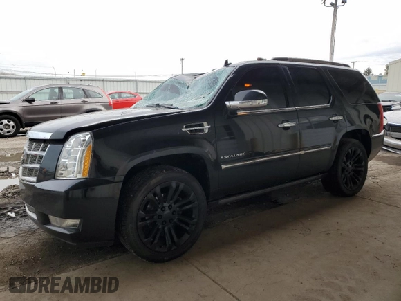2013 Cadillac Escalade Platinum Edition with VIN 1GYS4DEF8DR133652, listed as a Copart auction lot 79134744 with 0 mi miles and Salvage Title. Bid and sale history available at carsss.com. Image 1.