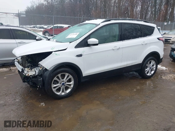 2018 Ford Escape SEL with VIN 1FMCU9HD9JUA69594, listed as a IAAI auction lot 41571208 with 124,193 mi miles. Bid and sale history available at carsss.com. Image 2.