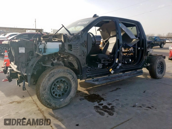 2021 Chevrolet Silverado 1500 LT Trail Boss with VIN 3GCPYFED4MG407696, listed as a Copart auction lot 48462875 with Not Provided miles and Salvage Title. Bid and sale history available at DreamBid. Image 1.