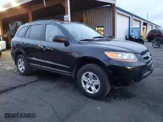 2009 Hyundai Santa Fe GLS with VIN 5NMSG13D29H275200, listed as a Copart auction lot 49262185 with 173,134 mi miles and Salvage Title. Bid and sale history available at carsss.com. Image 4.