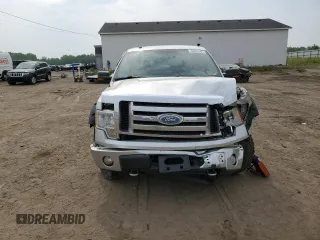 2009 Ford F-150 XL with VIN 1FTPW14V69FA77961, listed as a Copart auction lot 60561585 with 228,243 mi miles and Clean title. Bid and sale history available at DreamBid. Image 5.