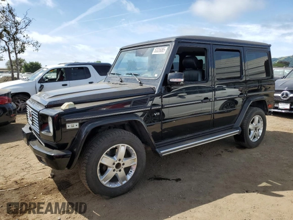 2003 Mercedes-Benz G with VIN WDCYR49E23X135498, listed as a Copart auction lot 53326085 with 173,667 mi miles and Salvage Title. Bid and sale history available at carsss.com. Image 1.