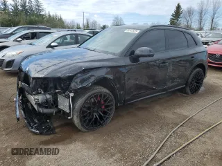 2019 Audi SQ5 Premium with VIN WA1A4AFY8K2002611, listed as a Copart auction lot 55747525 with 99,181 mi miles and Salvage title. Bid and sale history available at DreamBid. Image 1.
