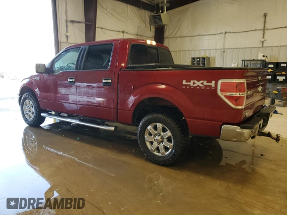 2014 Ford F-150 XL with VIN 1FTFW1EF3EFA12563, listed as a Copart auction lot 50427045 with 134,147 mi miles and Clean Title. Bid and sale history available at carsss.com. Image 2.