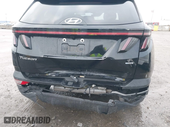 2023 Hyundai Tucson SEL with VIN 5NMJFCAE7PH162569, listed as a IAAI auction lot 41775805 with 40,537 mi miles and . Bid and sale history available at carsss.com. Image 6.