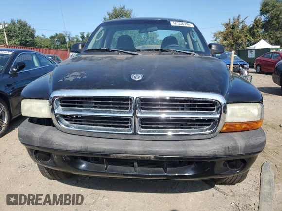 2004 Dodge Dakota with VIN 1D7GG16K14S588841, listed as a Copart auction lot 68306394 with Not Provided miles and Salvage Title. Bid and sale history available at DreamBid. Image 5.
