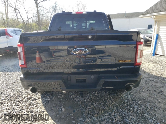 2023 Ford F-150 XL with VIN 1FTEW1E8XPFD11743, listed as a Copart auction lot 54319555 with 16,306 mi miles and Salvage Title. Bid and sale history available at carsss.com. Image 6.