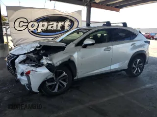2019 Lexus NX 300 with VIN JTJBARBZ6K2207406, listed as a Copart auction lot 63597445 with 128,788 mi miles and Salvage title. Bid and sale history available at DreamBid. Image 1.
