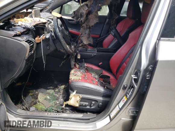 2019 Lexus NX 300 with VIN JTJBARBZ2K2189373, listed as a Copart auction lot 54381935 with Not provided miles and Salvage title. Bid and sale history available at DreamBid. Image 7.