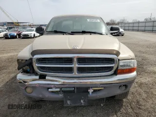 2004 Dodge Dakota SLT with VIN 1D7HG48N74S777684, listed as a Copart auction lot 49066395 with 213,419 mi miles and Salvage Title. Bid and sale history available at DreamBid. Image 5.