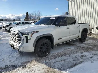 2022 Toyota Tundra 1794 Edition with VIN 5TFMA5DB8NX045547, listed as a Copart auction lot 42543985 with 39,256 mi miles and Clean title. Bid and sale history available at DreamBid. Image 1.