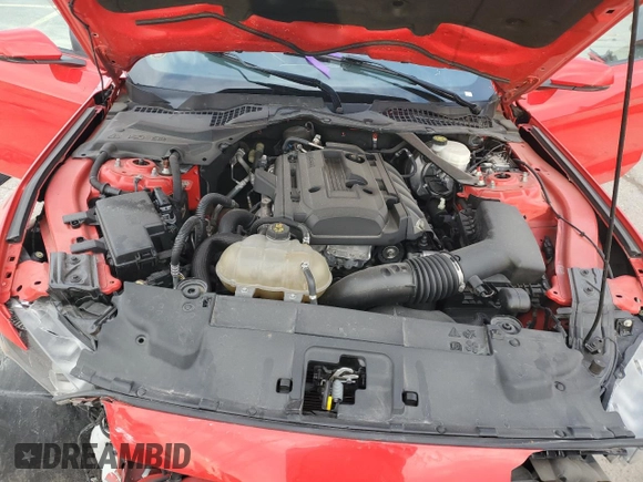 2019 Ford Mustang EcoBoost with VIN 1FATP8UHXK5171101, listed as a Copart auction lot 48926235 with 38,080 mi miles and Salvage Title. Bid and sale history available at carsss.com. Image 12.