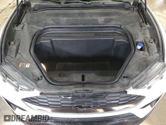 2021 Ford Mustang Mach-E GT with VIN 3FMTK4SE4MME00245, listed as a Copart auction lot 48055665 with 98,078 mi miles and Salvage Title. Bid and sale history available at DreamBid. Image 12.