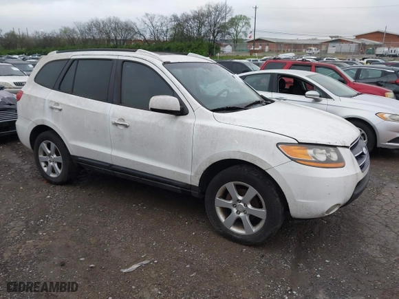 2008 Hyundai Santa Fe SE with VIN 5NMSH13E38H221411, listed as a IAAI auction lot 41907062 with 209,419 mi miles. Bid and sale history available at carsss.com. Image 1.