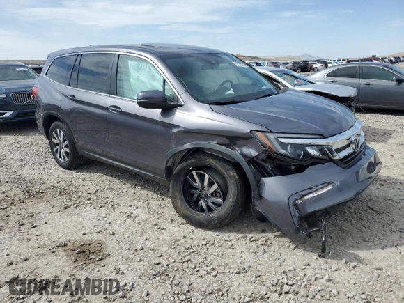 2021 Honda Pilot EX-L with VIN 5FNYF6H5XMB092939, listed as a Copart auction lot 52335875 with 19,981 mi miles and Salvage title. Bid and sale history available at DreamBid. Image 4.