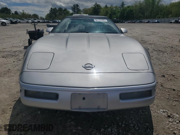 1996 Chevrolet Corvette z VIN 1G1YY22P9T5102060, wystawiony jako Copart lot #56195395 z przebiegiem Nie podano mil oraz Tytuł czysty. Historia ofert i sprzedaży dostępna na DreamBid. Obrazek 5.
