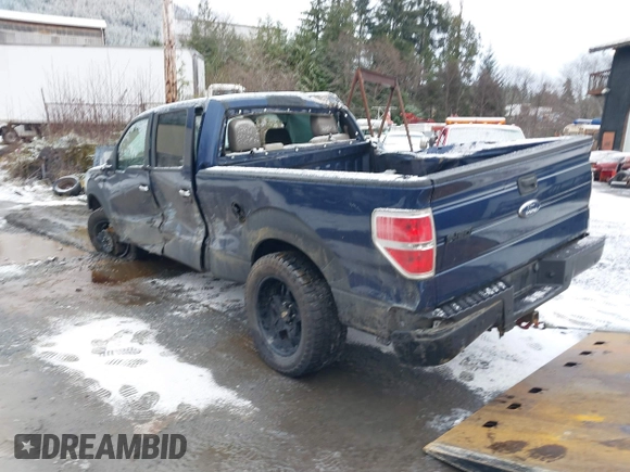 2010 Ford F-150 XL with VIN 1FTFW1EV7AFB50429, listed as a IAAI auction lot 40956419 with 1 mi miles. Bid and sale history available at carsss.com. Image 3.