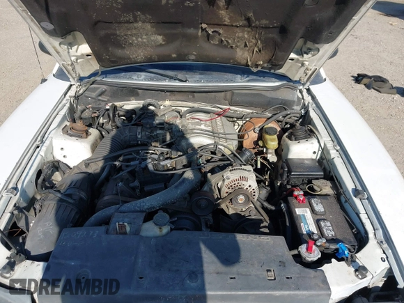 1995 Ford Mustang with VIN 1FALP4442SF243571, listed as a IAAI auction lot 42306376 with 227,445 mi miles and . Bid and sale history available at DreamBid. Image 10.