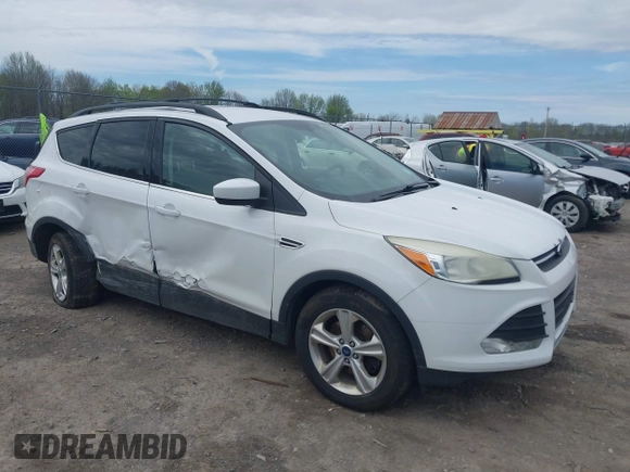 2013 Ford Escape SE with VIN 1FMCU9GX7DUA96986, listed as a IAAI auction lot 42160197 with 193,189 mi miles and . Bid and sale history available at DreamBid. Image 1.