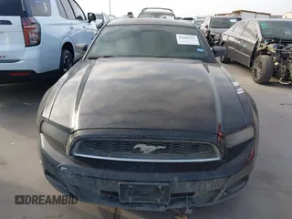 2014 Ford Mustang V6 with VIN 1ZVBP8AM3E5309764, listed as a IAAI auction lot 42169169 with 175,973 mi miles and . Bid and sale history available at DreamBid. Image 13.