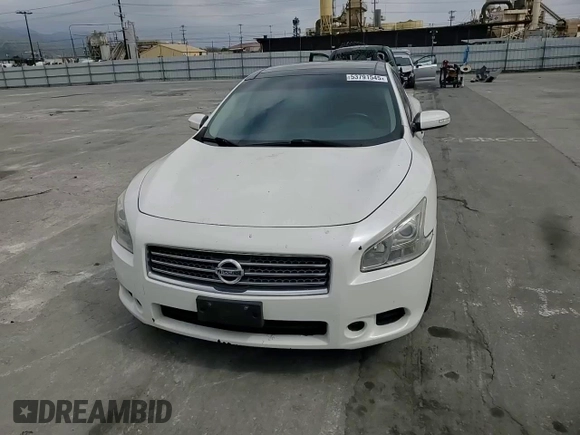 2009 Nissan Maxima SV with VIN 1N4AA51E69C809139, listed as a Copart auction lot 53791545 with 141,482 mi miles and Salvage Title. Bid and sale history available at DreamBid. Image 13.