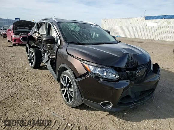 2017 Nissan Rogue Sport SL with VIN JN1BJ1CR3HW102233, listed as a Copart auction lot 49486785 with Not Provided miles and Salvage Title. Bid and sale history available at carsss.com. Image 12.