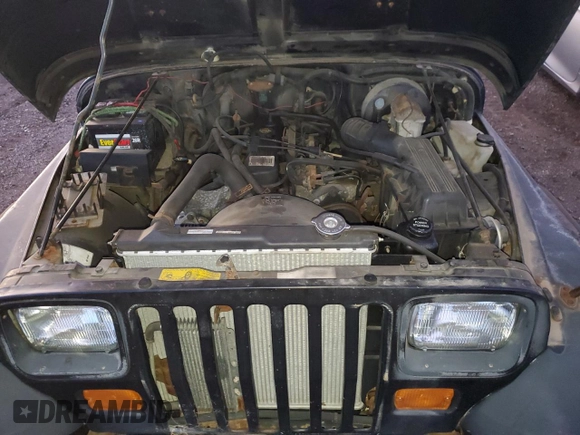 1994 Jeep Wrangler S with VIN 1J4FY19PXRP414104, listed as a Copart auction lot 79898264 with 166,963 mi miles and Clean Title. Bid and sale history available at carsss.com. Image 11.