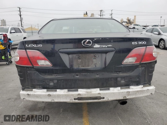 2002 Lexus ES 300 with VIN JTHBF30G520049637, listed as a Copart auction lot 58235085 with 123,290 mi miles and Salvage title. Bid and sale history available at DreamBid. Image 6.