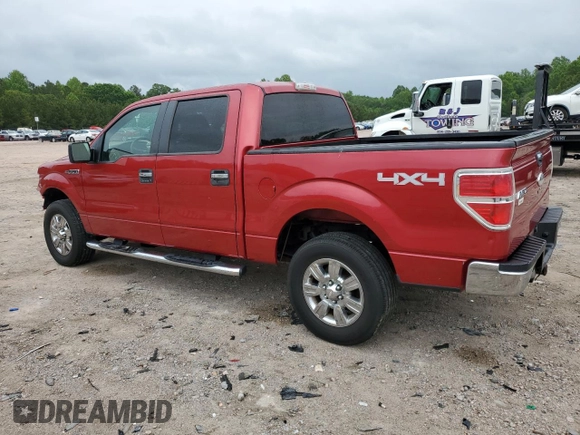 2009 Ford F-150 XL with VIN 1FTRW14839FA56777, listed as a Copart auction lot 55344665 with 217,031 mi miles and Clean title. Bid and sale history available at DreamBid. Image 2.