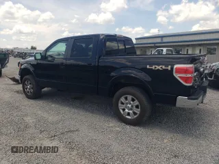 2009 Ford F-150 XL with VIN 1FTPW14V09FB25728, listed as a Copart auction lot 61993255 with 342,183 mi miles and Salvage title. Bid and sale history available at DreamBid. Image 2.