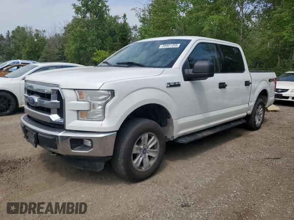 2015 Ford F-150 XLT with VIN 1FTEW1E85FFB51933, listed as a Copart auction lot 59901355 with 436,271 mi miles and Clean title. Bid and sale history available at DreamBid. Image 1.