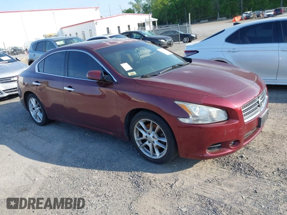 2009 Nissan Maxima SV with VIN 1N4AA51E19C841383, listed as a IAAI auction lot 42132774 with Not Provided miles and . Bid and sale history available at DreamBid. Image 1.