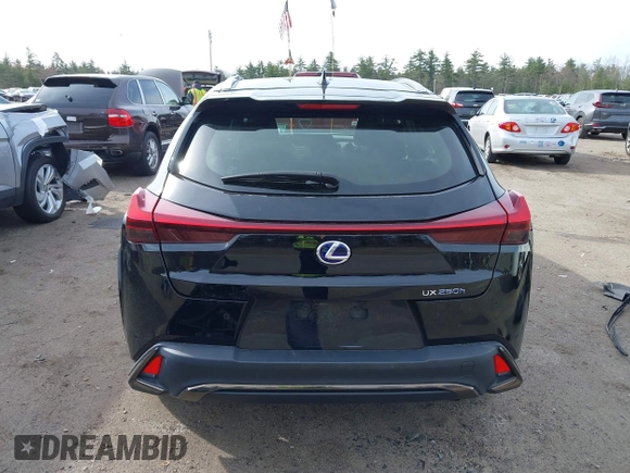 2022 Lexus UX 250h F Sport with VIN JTHR9JBH4N2062923, listed as a IAAI auction lot 42059334 with 27,967 mi miles and . Bid and sale history available at DreamBid. Image 17.