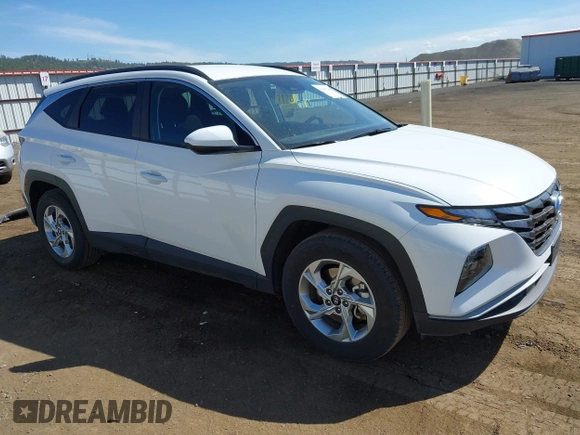 2024 Hyundai Tucson SEL with VIN 5NMJB3DE8RH421998, listed as a IAAI auction lot 42217680 with 18,876 mi miles and . Bid and sale history available at DreamBid. Image 1.